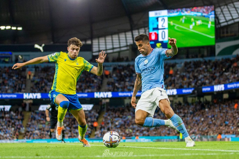 6个篮板以 6个篮板以